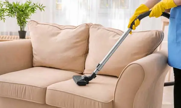 Upholstery Cleaning Services in Rockford Bay, ID