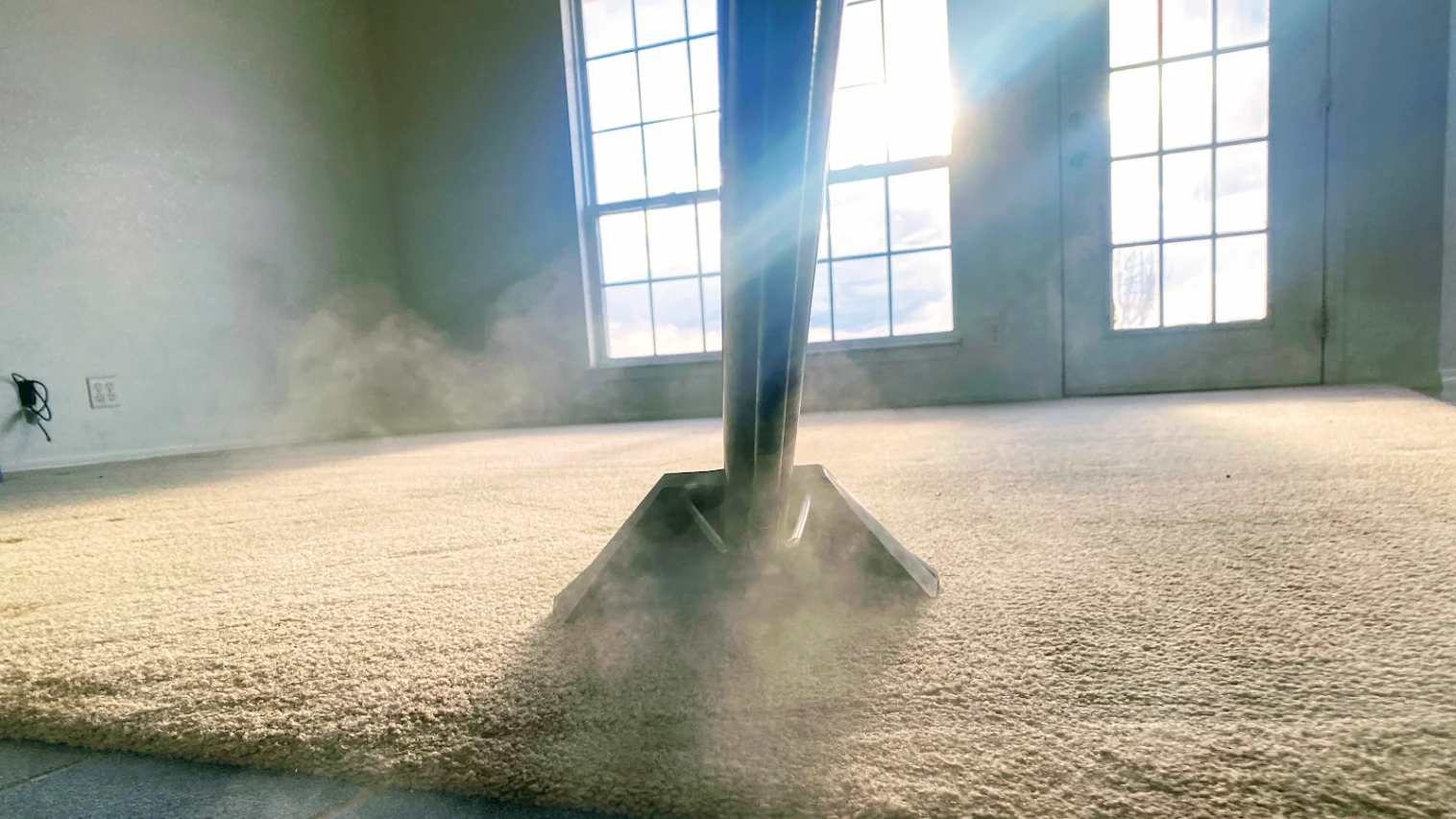 Pet Odor Removal in Otis Orchards, WA